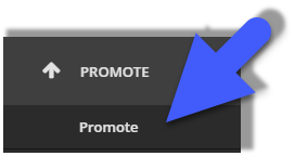 PromoteIcon.png